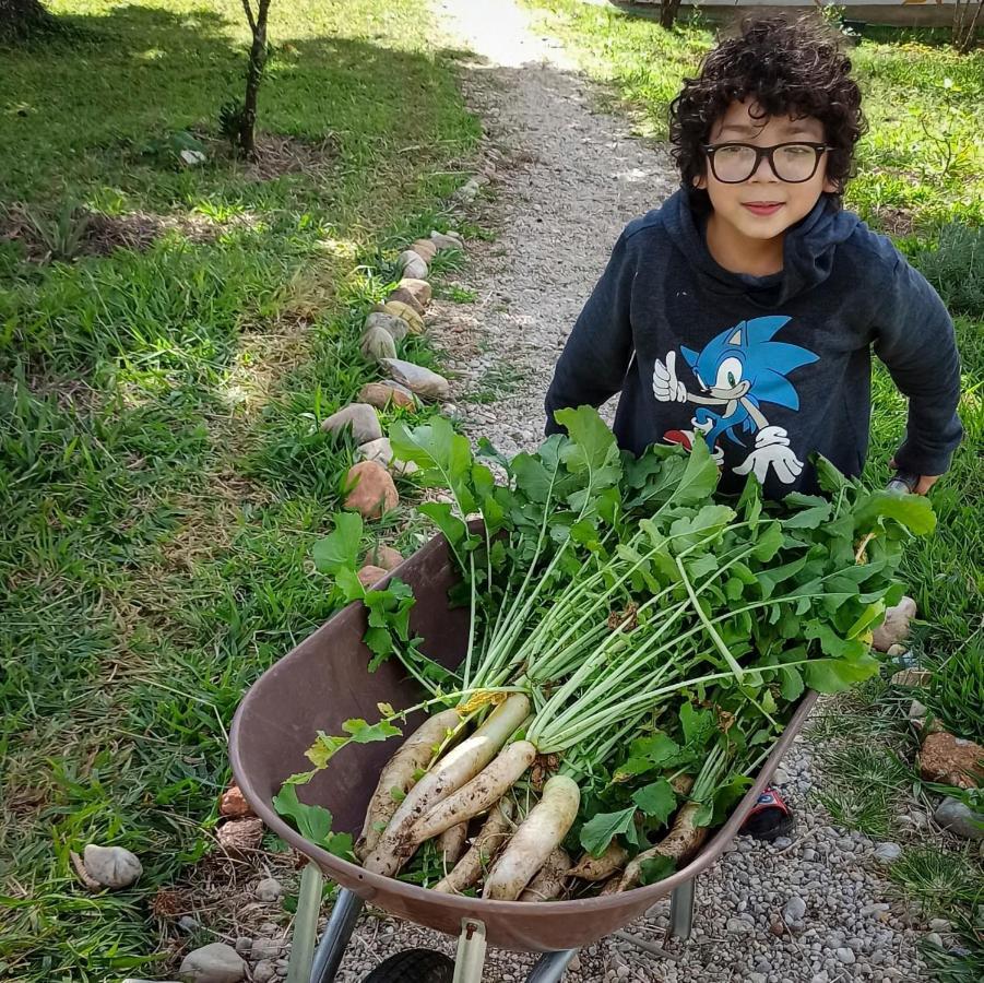 Ecovilab Guaratingueta Ngoại thất bức ảnh